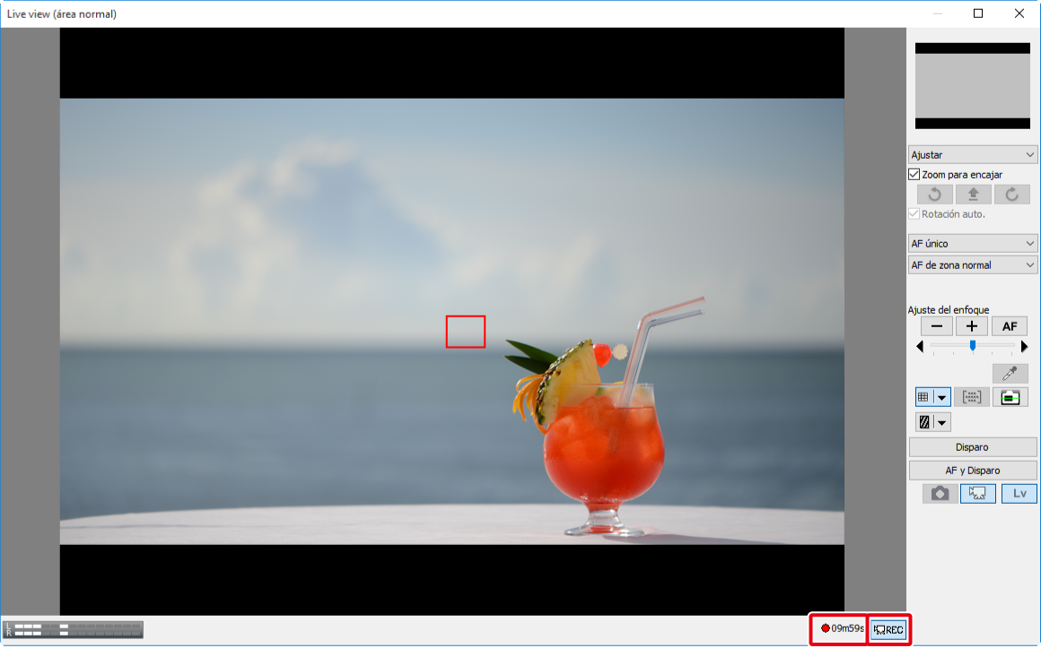 Grabación de vídeos Ayuda de Camera Control Pro 2 Nikon