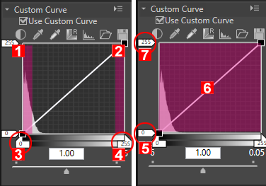 Custom Curves