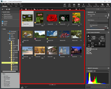 Basic Operations Of The Viewnx I Window Viewnx I Help Nikon