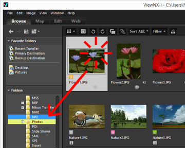 Moving Copying Duplicating File Or Folder Viewnx I Help Nikon